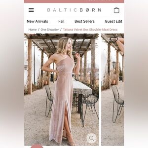 Baltic born velvet dress